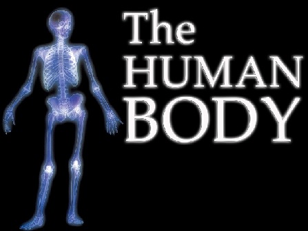 25 Amazing Life Hack Facts About Your Body You Probably Didn T Know Listingdock However, the human body is full of surprises and incredible processes that make up a person, and youtube science channel asapscience wants everyone to know the facts. 25 amazing life hack facts about your