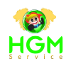HGMService