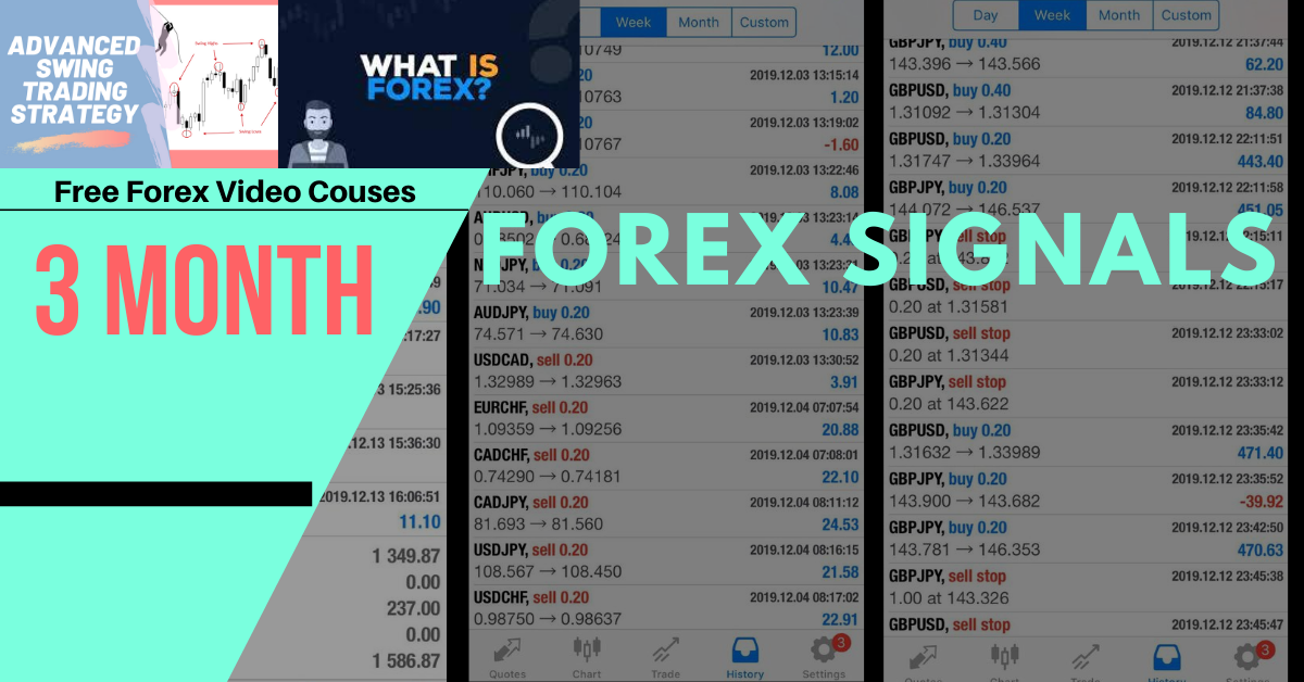 give you accurate forex signals 3 month