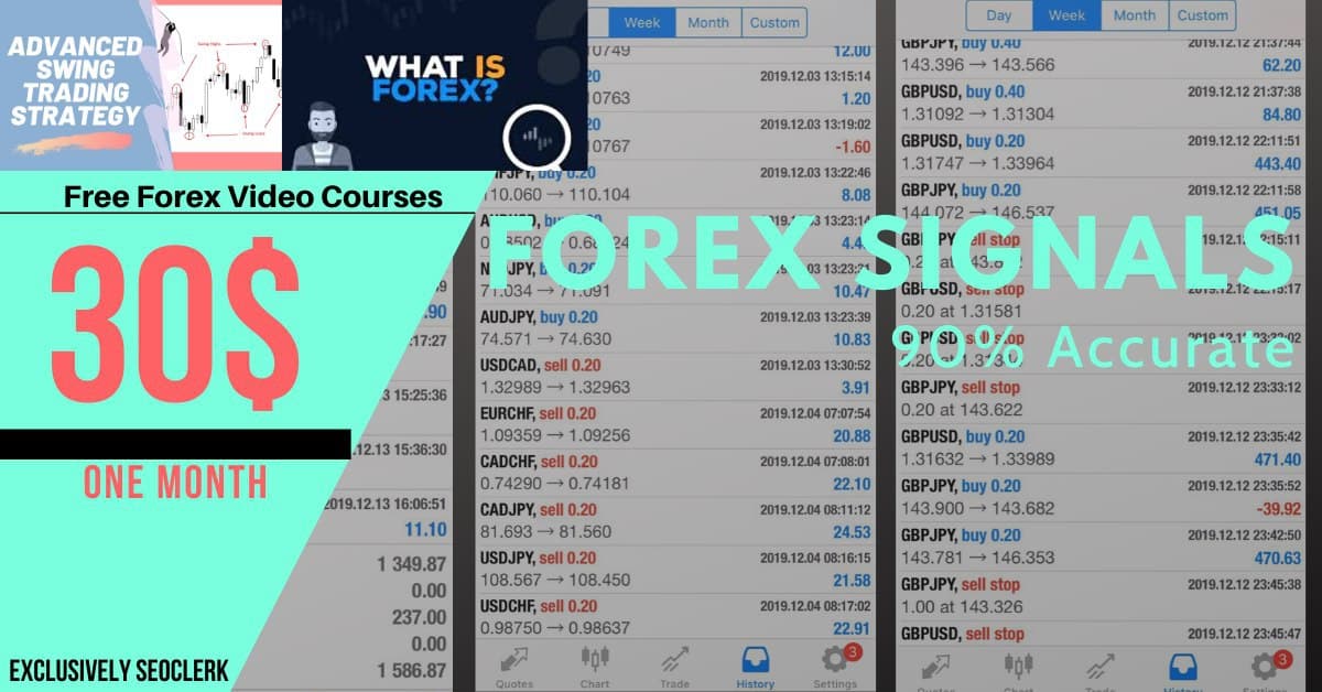 give you accurate Forex signals one month