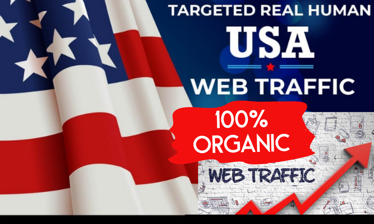 One Month (30 Days) Premium USA Real Organic Visitors Traffic to Website