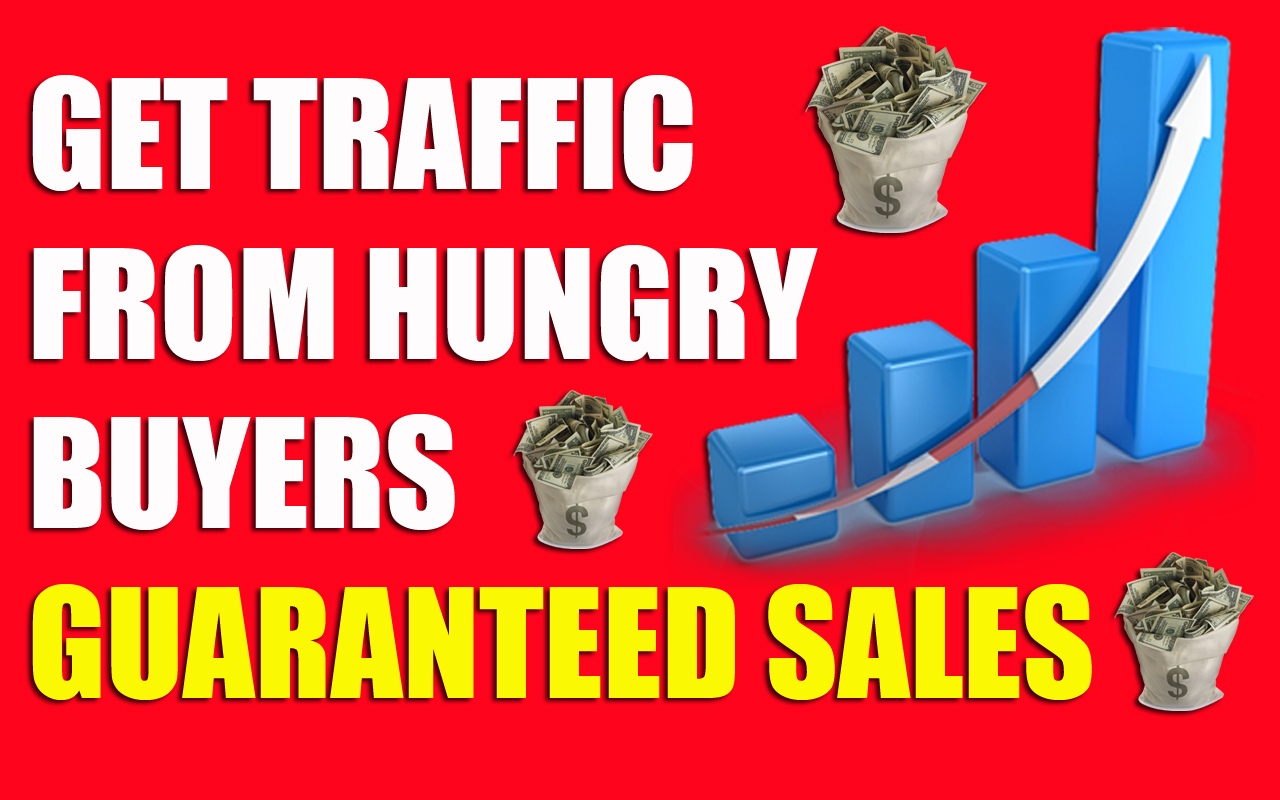 DRIVE 10,000,000+ Real Human Traffic to your Website or Affiliate link.