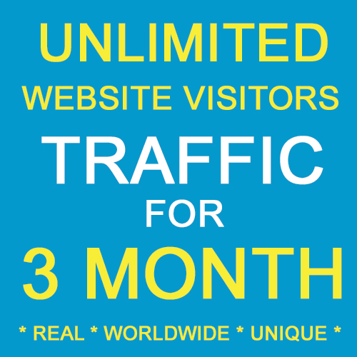 THREE MONTH Unlimited Real Unique Visitors Traffic to Website