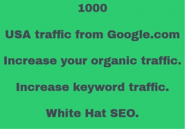 1000 USA Traffic from Google. com. Organic Custom Keywords