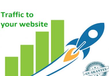 We Send 5,000 Traffic Visitors Directly To Your Website
