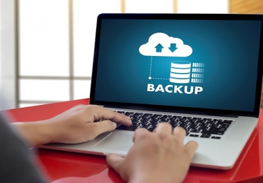 I will make a backup your wordpress site