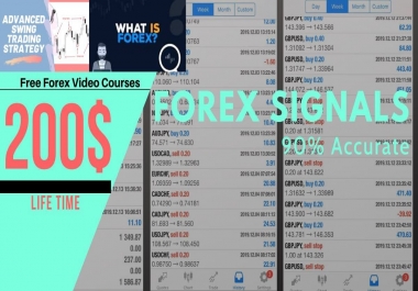 give you accurate Forex signals Life Time