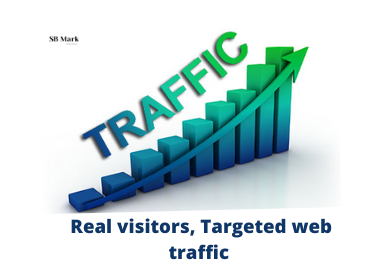 I will provide real visitors and targeted web traffic