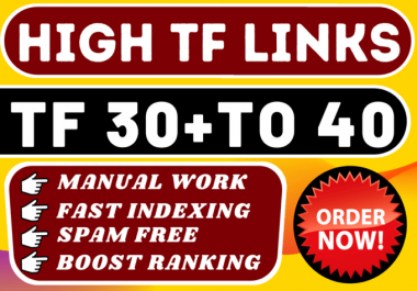 I will make high tf homepage SEO backlinks