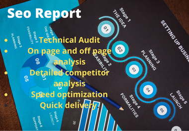 I will do a SEO audit report for websites