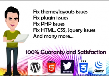 I will fix your Wordpress theme and layout issues