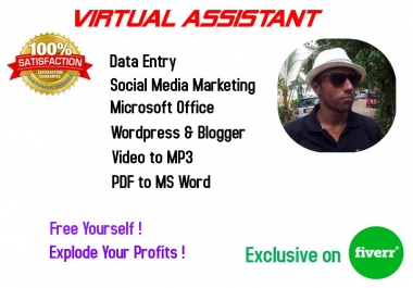I will be your virtual assistant for 4hours