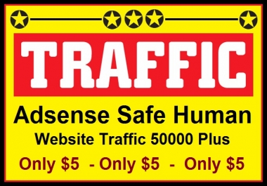 50000 + REAL Visitors to your Website or Blog to Boost your Alexa, Adsense Safe Human Website Traffic