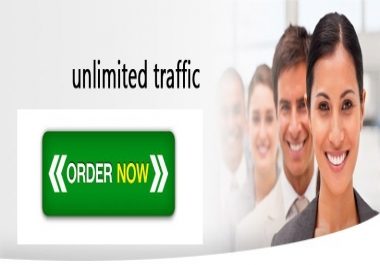 send 1000-1500 daily website traffic for one month