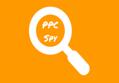 I will spy PPC keyword and ad set report for any website or competitor domain url in 48hr