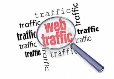 100,000 Niche Targeted ADULT Web Traffic