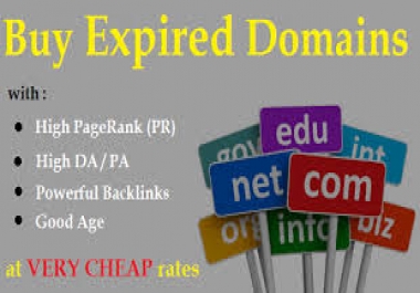 expired domain research
