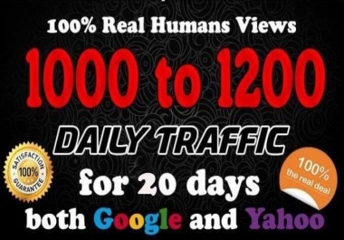 1000 Daily Real human Traffic for 30days