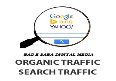 Get 1000+ Organic Traffic For Your Website or Blog