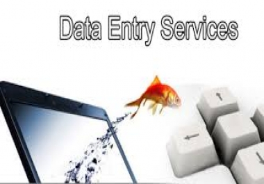 Professional data entry,  article writing and research