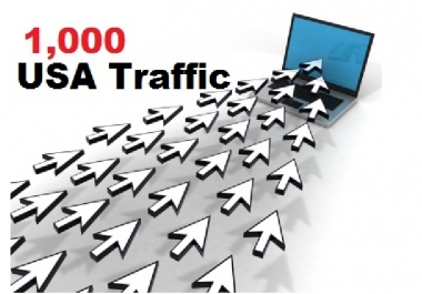 I Will send you 1000 USA Visitors for