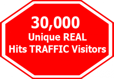 Drive 1000 VISITORS PER DAY FOR 30 Days