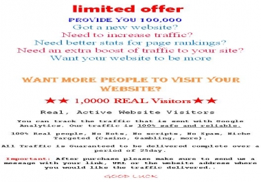 100,000 Real unique Visitors TRAFFIC to your website web advertising for